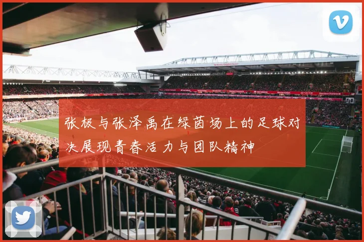 张极与张泽禹在绿茵场上的足球对决展现青春活力与团队精神