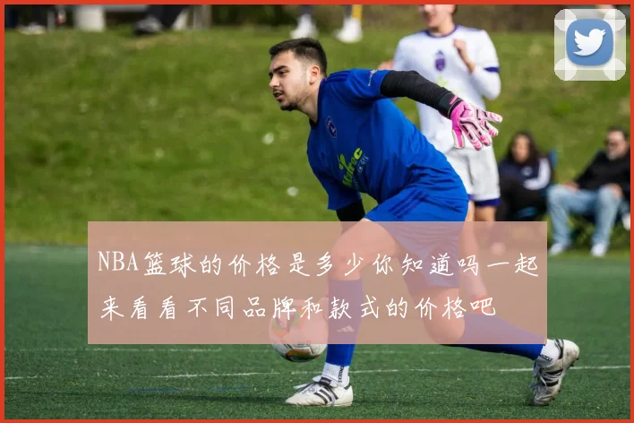 NBA篮球的价格是多少你知道吗一起来看看不同品牌和款式的价格吧