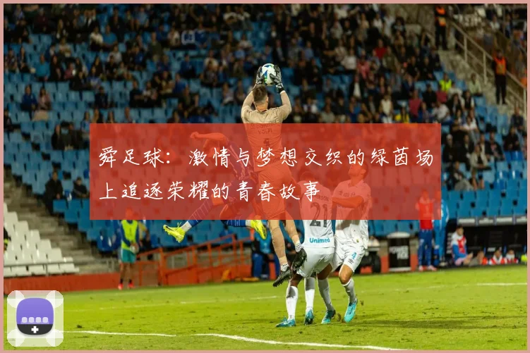 舜足球：激情与梦想交织的绿茵场上追逐荣耀的青春故事