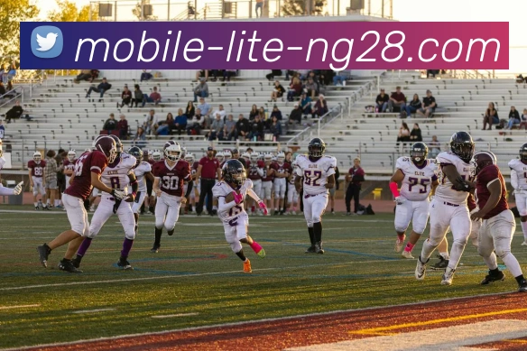 南宫28集团服务体系